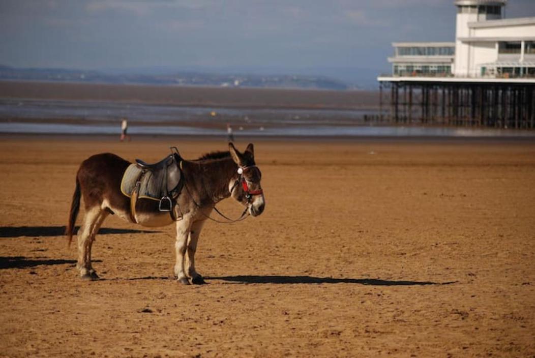 Xxhot Tubxx 4Bed Semi, Sleeps 8, 2 Bathrooms Blackpool Buitenkant foto